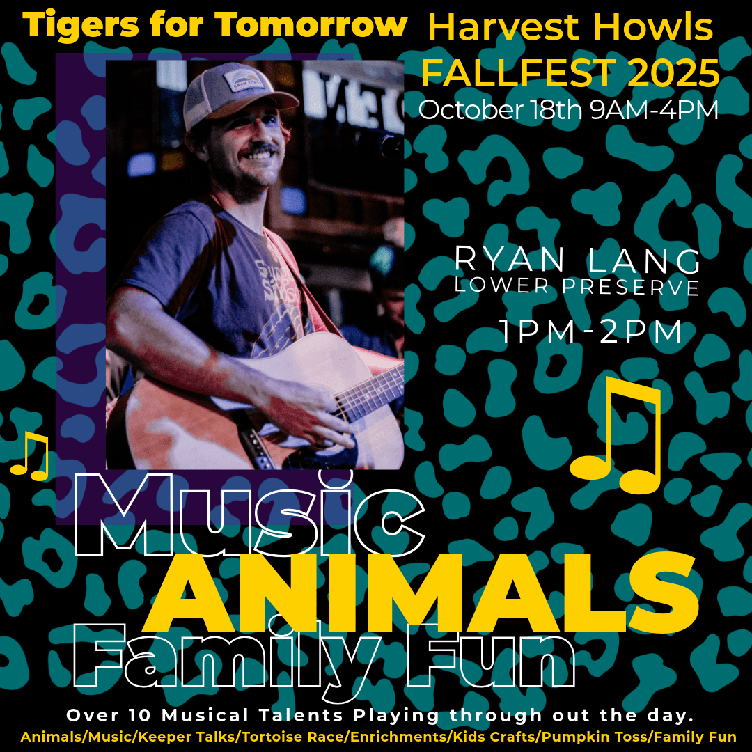 Ryan Lang LIVE at Harvest Howls Fall Festival