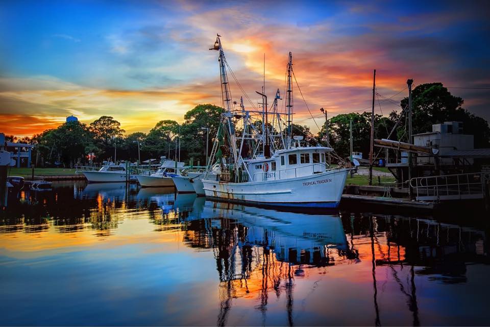 Tropical Trader Shrimp Co.